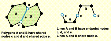 Examples of shared geometry that can be managed using a topology.